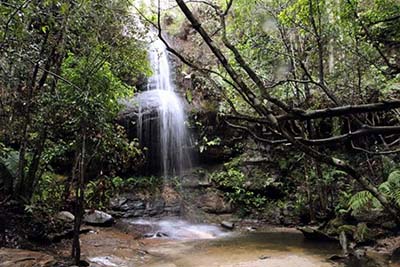 Adelina Falls
