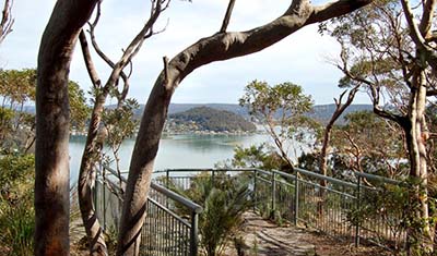 Allen Strom Lookout — photo 2