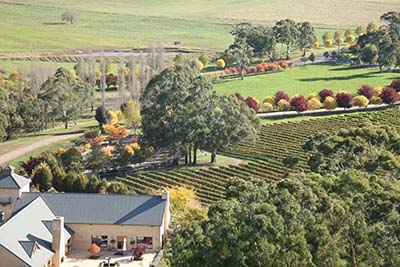 Centennial Vineyards — photo 2